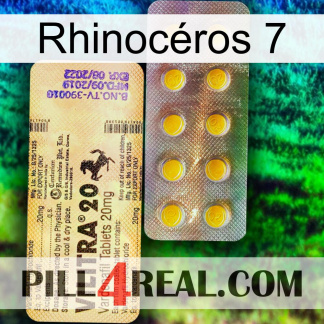 Rhinocéros 7 new06
